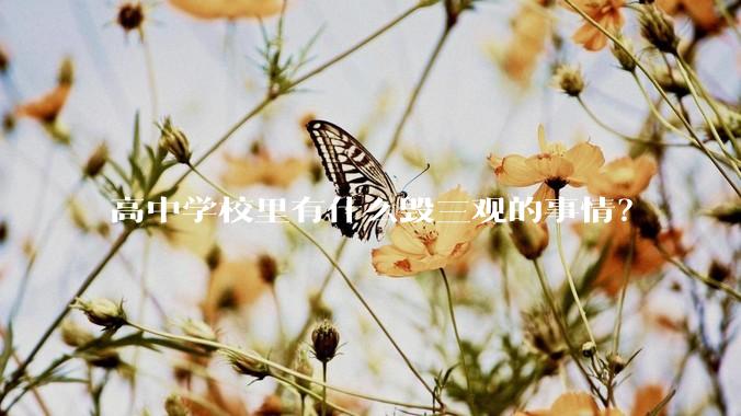 高中学校里有什么毁三观的事情？